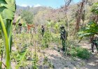 Satgas Yonif 645/GTY Wujudkan Ketahanan Pangan di Distrik Kurima